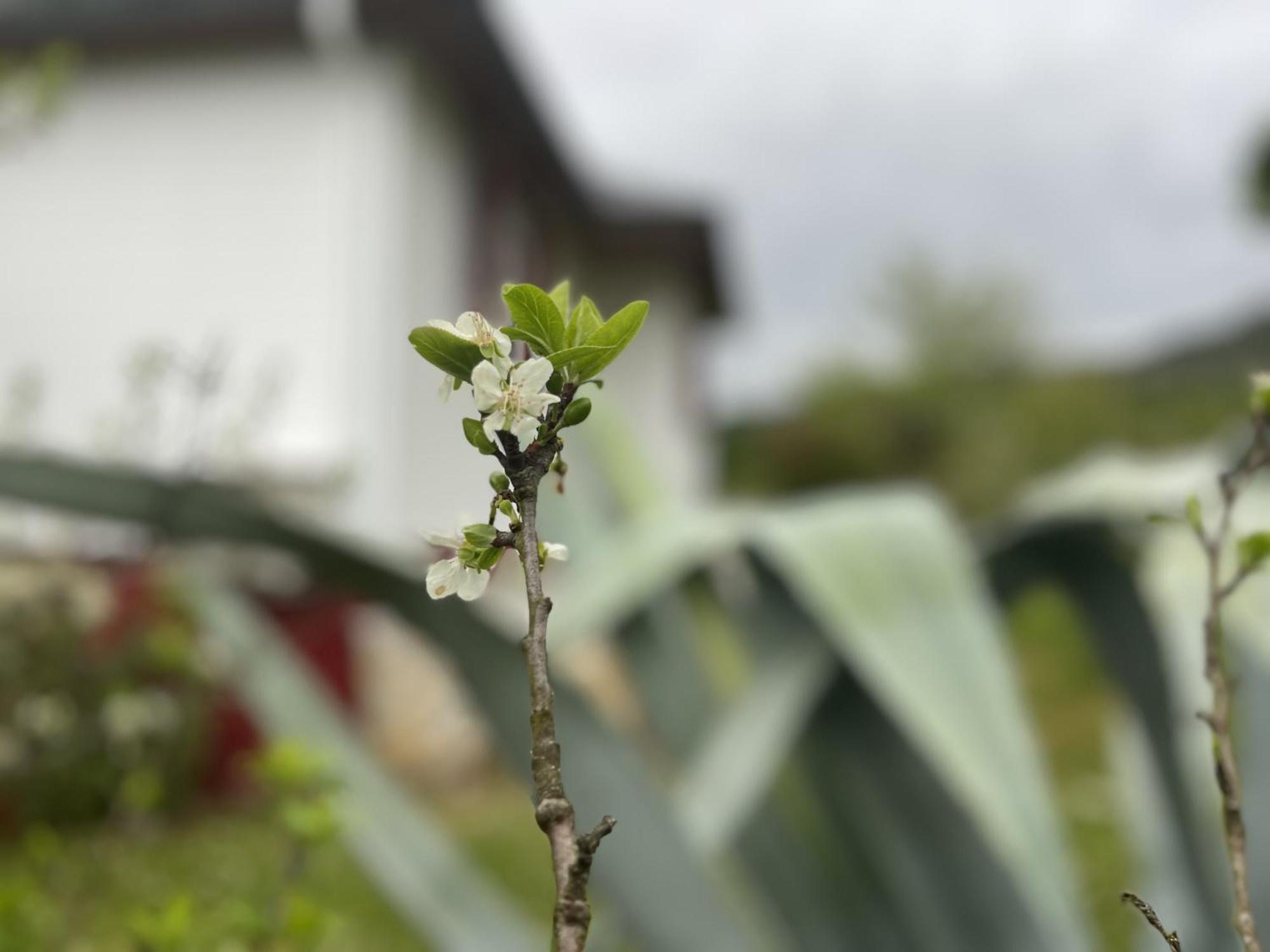 A Casina Casa Rural En Galicia Ourense Cameră foto