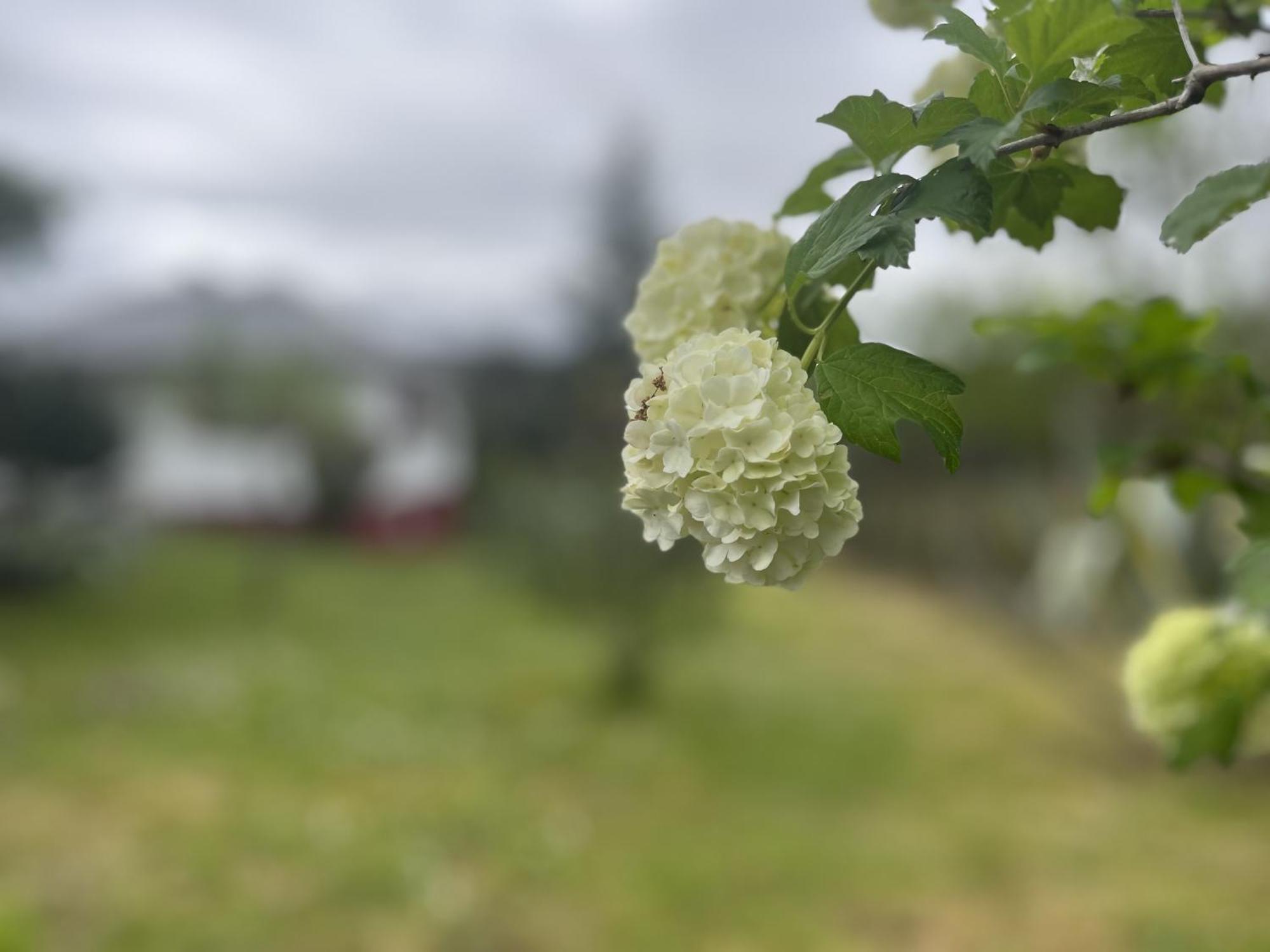 A Casina Casa Rural En Galicia Ourense Cameră foto